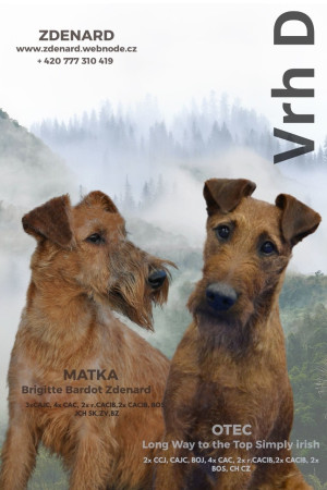 Brigitte Bardot Zdenard + Long Way To The Top Simply Irish